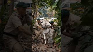 Brave Rescuers Save a Horse from Python Attack! 😱 #youtubeshorts