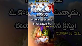 నేడు రక్షకుడు మీ కొరకు పుట్టియున్నాడు,#jesus #jesus song #youtube shorts #motivation