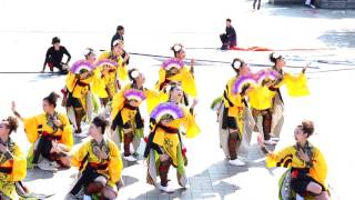 常陸國大子連 01 in　ドリーム夜さ来い祭り　2016