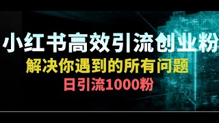 小红书高效引流创业粉，解决你遇到的所有问题，日引流1000粉，附保姆级教程