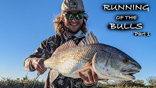 The BEST GEAR For Fly Fishing BULL REDS in Louisiana