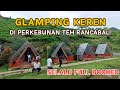 GLAMPING ECOPARK CURUG TILU, ESTETIK KABIN BERKEMAH DITENGAH KEBUN TEH DENGAN ALIRAN SUNGAI