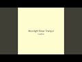 Moonlight Silver Tranquil
