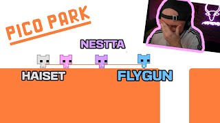 POKLIDNÁ HRA PŘÁTEL | HaiseT, Nestta, FlyGun | Pico Park