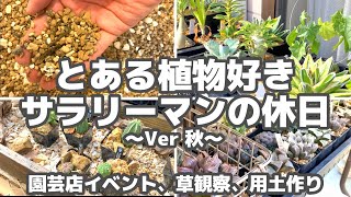 植物好きサラリーマン秋の休日｜イベント行ったり用土作ったり