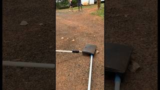 Eastern Brown Snake Attacks World S Second Most Venomous Snake