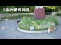 サイドカーに柴犬９１ 大阪港ダイヤモンドポイント・南港野鳥園 　the shiba inu and a sidecar 91.osaka port diamond point.