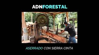 Aserrado con Sierra Cinta