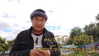 မလုပ်သင့်တာကိုမလုပ်နဲ့ မနောက်သင့်တာကိုမနောက်နဲ့