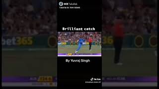 Yuvraj Singh Brilliant catch