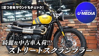 【Triumph 2023MODEL ストリートスクランブラー｜走行407kmの厳選中古車】足つき＆サウンドもチェックも !!ユーメディア横浜青葉