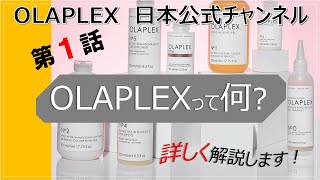 #1 【美容師の方必見!!】OLAPLEXって何!?