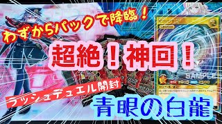 青眼の白龍LEGENDレアを5パックだけで引く奇跡！超速のラッシュロード開封！【遊戯王】【神回】【ロワイト】