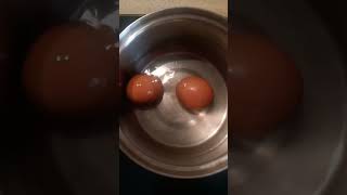 வேக வைத்த முட்டை /#egglovers #boiledegg #shortfeed #youtubeshorts