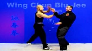 Wing Chun kung fu - wing chun biu Jee form applications fight Preview