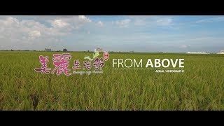 美麗生活節 from ABOVE (Aeriel Videography)