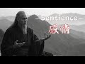 Sentience — 感情 — Japanese Minimalist Music for Focus & Inner Reflection