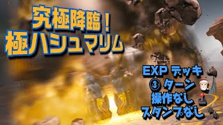 【メビウスFF】極ハシュマリム 究極降臨　EXPデッキ 3ターン 操作なし スタンプなし MobiusFF