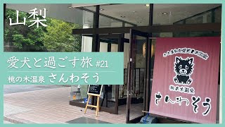 【桃の木温泉さんわそう｜南アルプス】愛犬と泊まれる宿で源泉掛け流し温泉と専用屋外ドッグラン付きのお部屋でわんことゆったり過ごす旅