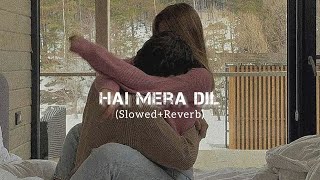 Hai Mera Dil - Josh - [Slowed + Reverb] - | Udit Narayan | Alka Yagnik | Shahrukh Khan | sLow 🎵