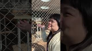 莫札特音樂藝術室 2025户外活動預告踩點(萬壽山動物園)強推👍防範彌猴😅把自己關起來惹🤣！