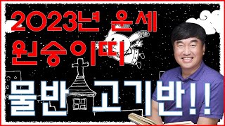 2023년 원숭이띠 운세 하늘에서 돈 비 내린다. 사방팔방 돈이다. 하지만 과욕은 금물!! / 재물 운명 사주팔자 금전운 궁합 애정 운세 사주상담  010.5571.9666