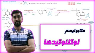 متابولیسم نوکلئوتید ها / پورین ها و پریمیدین ها / بیوشیمی و متابولیسم پروتیین ها /  DNA و RNA