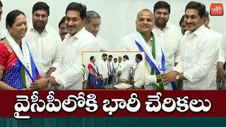 HUGE Joinings In YSRCP In Presence Of AP CM YS Jagan | AP News | YOYO TV Channel