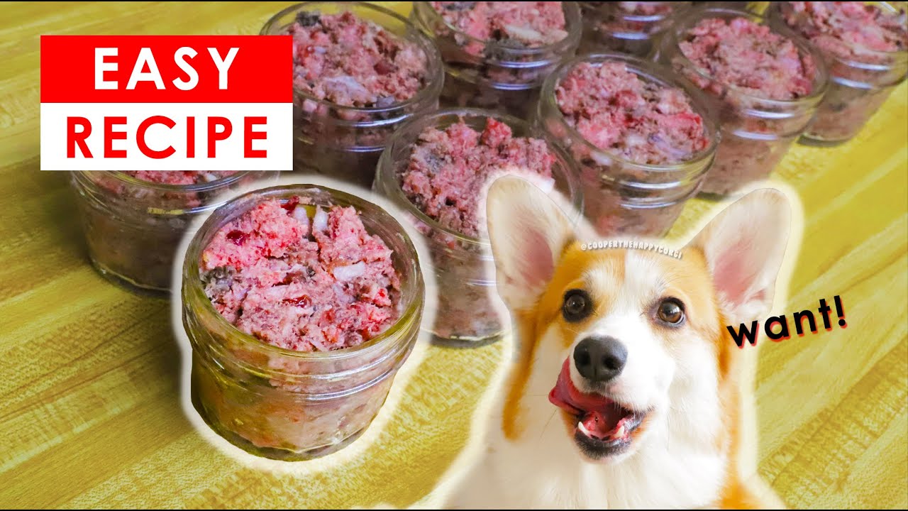 BEST HOMEMADE RAW DOG FOOD RECIPES - MADE EASY!!! - YouTube