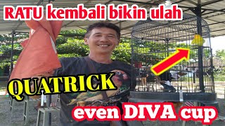 aksi lovebird RATU//meraih quatrick di even DIVA CUP1