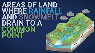 We All Live In A Watershed