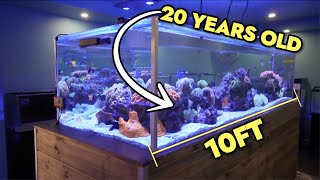Exploring A STUNNING 20 Year Old, 10ft Saltwater Reef Tank in Melbourne, Austral