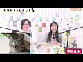 みけとこ 第47回！みけねこ☆とことこ　2023 11 8放送