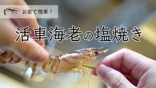 生きた車海老が大暴れ！塩焼きの作り方【お家で簡単。卓上バーベキューコンロで網焼き】