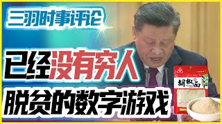 脫貧數字的背後的疑問：中國已經沒有窮人了？習近平停頓三秒後說出四個字：撒胡椒面 | 中國脫貧攻堅總結表彰大會召開