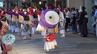 愛・彩媛（よさこい祭り2017）本番1日目・はりまや橋