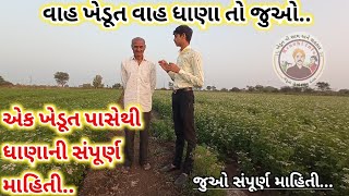 વાહ ખેડૂત વાહ ધાણાતો જુઓ | એક ખેડૂત પાસેથી ધાણાની સંપૂર્ણ માહિતી..| #Ankitthummar