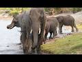 LIVE at the waterhole - 24 March 2026