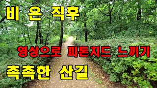 산길 걷기 001. 말죽거리 근린공원 시작지점에서 치유쉼터까지 걷고 잠시 휴식^^