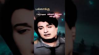 பல்லாக்கு.. || T M S Legend || M G R || Whatsapp Status ||