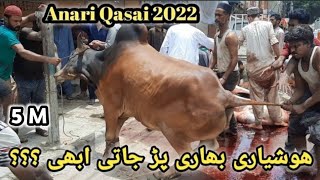 Anari Qasai 2022 || Eid UL Azha ||
