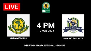 Yanga vs Marumo Gallants | CAF Confederation Cup 2022-23