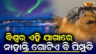 ବିଶ୍ୱର ଏମିତି ଏକ ସ୍ଥାନ, ଯୋଉଁଠି ନାହାନ୍ତି ଗୋଟିଏ ବି ପିମ୍ପୁଡି