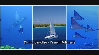 Diving paradise - French Polynesia