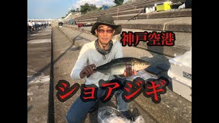 神戸空港ショアジギで青物！fishingmax神戸ハーバー店