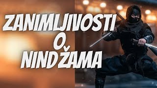 TOP 5 Zanimljivosti o Slavnim Nindžama