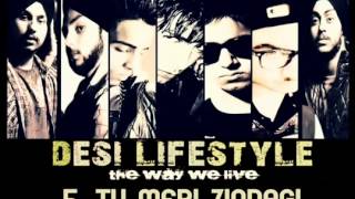 Desi Lifestyle   Tu Meri Zindagi Audio   D'elusive   YouTube