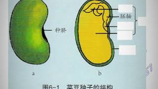 全国独中初中科学考前重点整理讲义_网购 6 ( 含解答 )