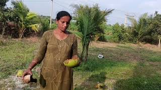 DRIP Irrigation Sprinkler System | Village Life Style #nikhilnishavlogs  #villagelife