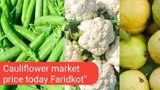 Cauliflower market price today near Faridkot\